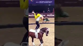 Dancing on top of a horse! At the FEI Vaulting World Championship 2022!