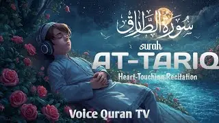 Surah At-Tariq | سورة الطارق | The Star That Pierces the Night &ndash; Soothing Quran Recitation