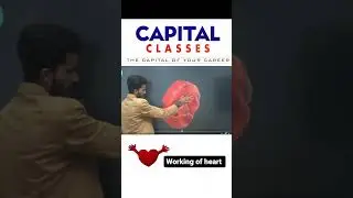 Working oh heart Extremely easy and simple way #science #biology #heart #viralvideos #sciencefacts