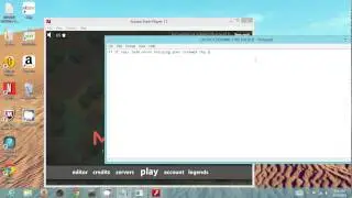 Rotmg private server working download