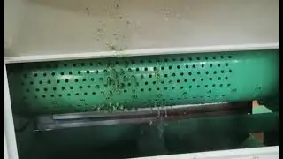 Squeezing granulator