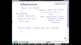 BI233: Immune System Lecture !