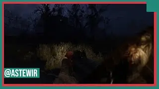 Stalker 2 Heart of Chornobyl - How to Kill Lesser Zone BARGE Mutant, Invisible Flying Objects