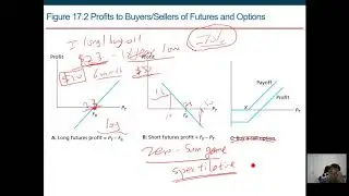 FINC 512 options