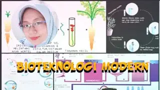 Bioteknologi Modern (Transgenik)