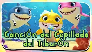 🦈 Canción del Cepillado del Tiburón - “¡El tiburón se cepilla los dientes! 🪥🦈🎵”