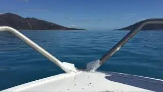 Dingo beach fishing 2020