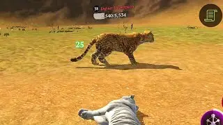 Tiger and Lion game play on Magic sands map 😱😱 #lionattack #lionhunting #wildcraft #games #tiger