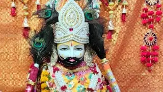 Khatu Shyam Ji ki Aarti | 01/12/2024 | ज़हरौली