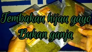 gayo hijau aceh, aroma ganja #tembakau #bako #gayo #hijau #aceh