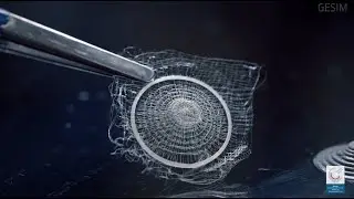 Biomimetic Thympanic Membrane Printing