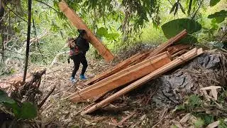 The daily life of a single mother and her son: harvesting and selling produce | Đặng Thị Thủy