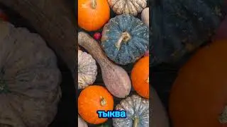 ‼️Бюджетные продукты которые лучше любых деликотесов‼️🔥🔥🔥 #зож #рецептыпп#красотаиздоровье #ппеда