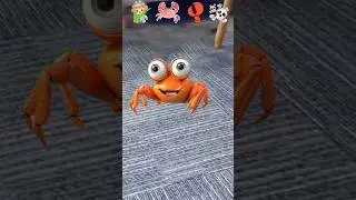 The Real Toys Of Crab ❗❗🤣 #animalforkids #funnymemes
