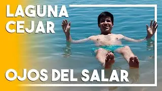 La sorprendente LAGUNA CEJAR | Flotando en el Atacama | Ojos del Salar
