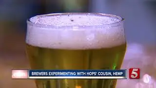 Hemp Beer Could Be Coming To Tennessee