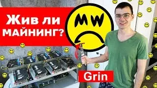 ЖИВ ЛИ МАЙНИНГ В 2019? Спасибо, Grin, за счастливый январь!