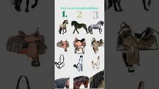 Pick your western vision #horse #mylitlepony #equestrian #equestrianjourney #horsefan #trend #cute