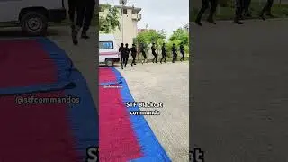 STF commando #bihar #commandos #special #force