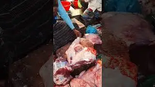 Beef Meat🍖Cutting Process