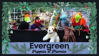 Evergreen | Children's Puppet Shows from the Bible | Puppets of Promise
