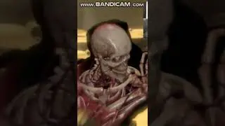 офигительный ренген снайпер элит 3 #gaming #game #gameplay #shorts #sniper #sniperelite #xray