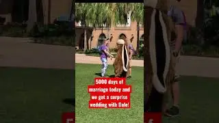 5000 Days of Marriage/Surprise Disney Wedding! #disneywedding