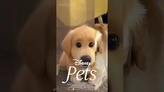 Disney pets #disney #pets #goldenretriever #goldenpup #love#grandpup ❤️😍❤️