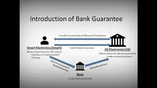 Bank Guarantee with example (Introduction Part)