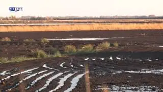 Bizarre verschillen in natuurbeleid in de grensstreek
