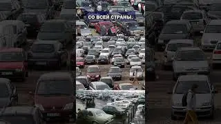 Куда пропал 20 регион с номеров авто? #shorts #short #дорога #номера #история