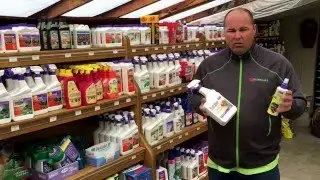 Tomato Products