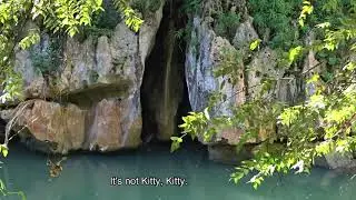 (Jamaica) Bog Walk Gorge.
