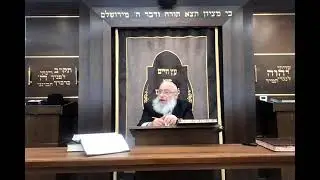 The Pnei Yehoshua on Sefer Kapot Temarim | from a shiur by Rav Asher Weiss Shlit