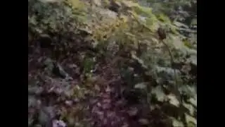 Big Frog Wilderness