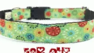 New Stuff at Cute! Pet Gear