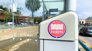 Are Muni customers paying their fares? Here's detailed look at SFMTA's deep financial crisis