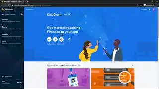 Setting Up a Firebase Project