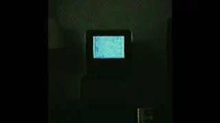 The Lobotomy(extra slowed + Reverb + looped) Maebi