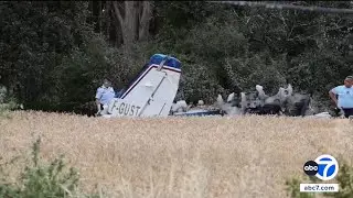 Claude Guillemot, co-founder of 'Assassin's Creed' maker Ubisoft, killed in plane crash in France