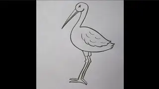 How to draw crane bird drawing for beginners step by step