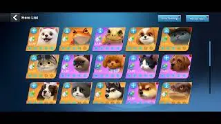 Eternal land event on Cat dog world after humans game play - no commentary.