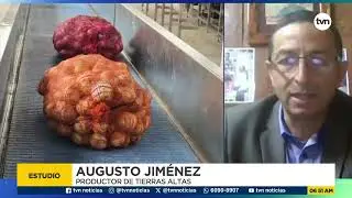 Productores aseguran que no hay desabastecimiento de cebolla nacional
