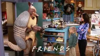 Ross Is the Holiday Armadillo | Friends
