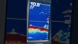 Garmin Fishfinder 350C vs Navionic Boating HD | Giwangkara Fishing