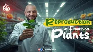 Reproduction In Flowering Plants 3| biology| ثانوية عامة