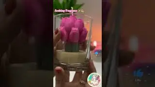 Meesho Tulip Flower Candle 🕯 Cozy Glass Decor