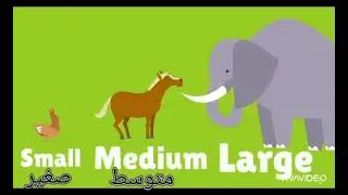 Math kg3 (  Sizes )
