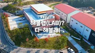 돌봄공급자 간 해볼랩(LAB)? 다-해볼래!