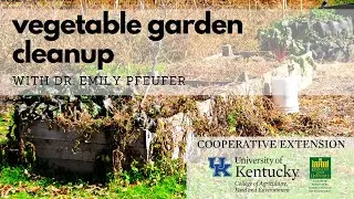 Vegetable Garden Cleanup